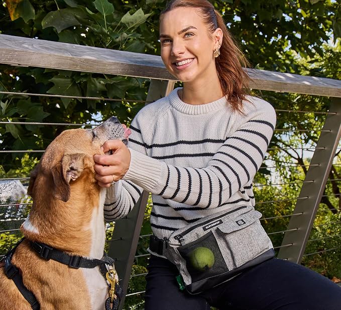 Cleverpup Walk & Train 2-in-1 Dog Walking Bag - Hands-Free Training Crossbody Sling & Fanny Pack with Treat Pouch, Poop Bag Holder, Phone Pockets - Adjustable Waist or Shoulder Strap - Heather Grey