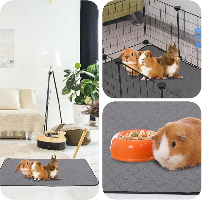 Guinea Pig Cage Liners, 36''X36'' Washable Guinea Pig Pee Pads, Non Slip Reusable Super Absorbent Guinea Pig Training Mat Bedding Fleece for Small Animals Hamster Rabbit Chinchilla Rat, 2Pack