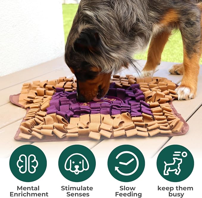 Snuffle Mat for Dogs Toast PB&J, Large Dog Snuffle Mat 21” x 23”, Plush Enrichment Toy Slow Feeder Mental Health to Keep Them Busy, Machine Washable, Snuffle Mat for All Breeds Sizes