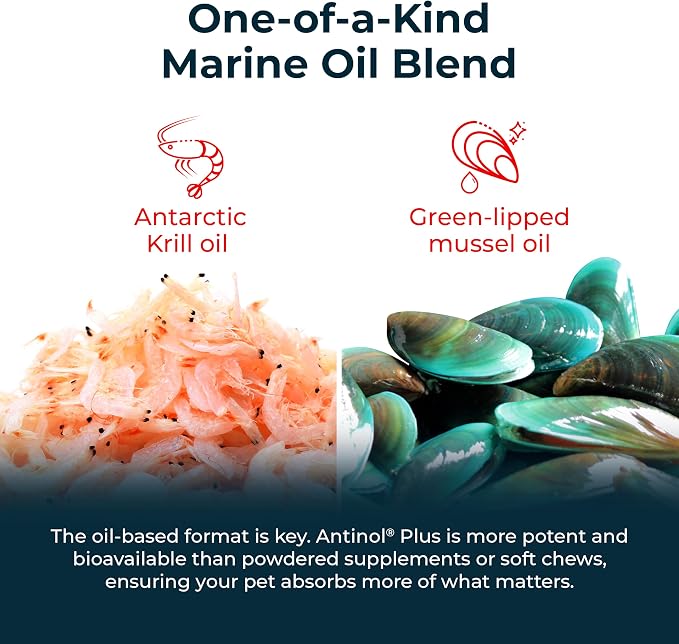 Antinol Plus, Mobility, Hip, and Joint Supplement for Dogs, Green-Lipped Mussels and Krill Oil - Dog Joint Supplement, Better and Faster Than Glucosamine and Chondroitin, 150 Soft Gels