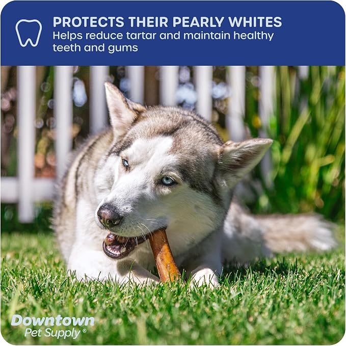 Downtown Pet Supply USA-Made 6", 1 Lb. Jumbo Bully Sticks for Large Dogs - Rawhide Free Dog Chews Long Lasting and Non-Splintering - Single Ingredient, Low Odor Bully Sticks for Medium Dogs