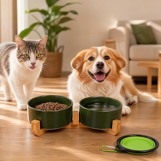 Petygooing Ceramic Dog Cat Bowl Set with Stand, Pet Food and Water Dishes,Medium Pet Bowl Anti -Slip Set of 2 Cat Dish-Pet Food Bowls Small Medium Size Dog (28OZ/6.1 in) Rust Green
