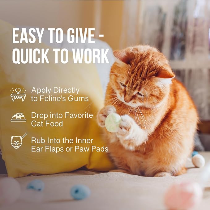 Calm Drops for Cats - Lavender Hemp Oil Blend for Balance During Fireworks, Travel, Alone Time, & New Environments - USDA Organic Cat Calming Drops - New & Improved Formula - 2 oz
