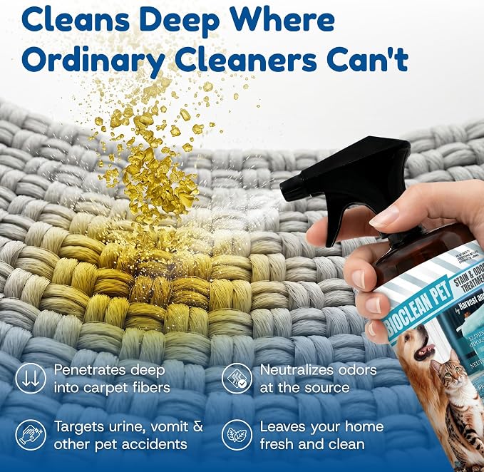 Bioclean Pet Carpet Cleaner & Deodorizer – Eliminates Pet Urine Smell, Stain & Odor Remover, No Residue, Made in USA – 32oz