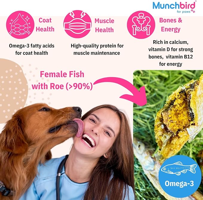 Munchbird Freeze Dried Capelin Whole Fish with Roe Cat Dog Treats - Single Ingredient, High Protein & Omega 3 for Skin and Coat, Grain-Free (100g) Wild-Caught