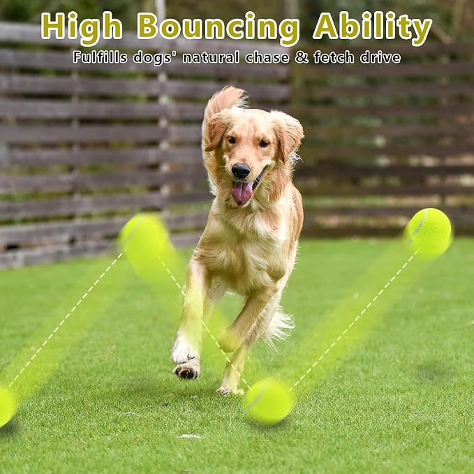 Magicorange Dog Tennis Balls,6 Pack 2.5 inch Floatable Squeaky Tennis Balls for Fetch Exercise, Natural Rubber Squeaky Dog Balls Training Safe (Multi-Colored)