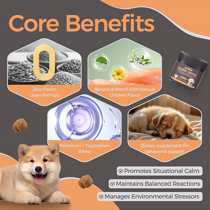 Melatonin Calming Chews for Dogs, Calming Dog Supplement, Melatonin Chews to Help Reduce Anxiety and Stress from Storms, The Vet, Fireworks and Travel, Chicken Flavored 120 Soft Chews 300g