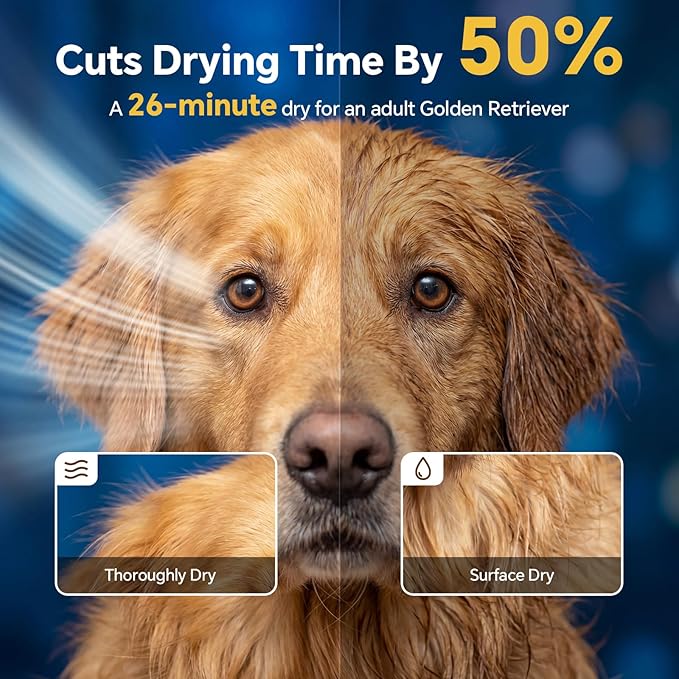 Dog Dryer High Velocity Dog Hair Dryer 5.2HP/3800W, Stepless Adjustable Speed Temperature Dogs Grooming Blow Dryer, Pet Dryer with 4 Nozzles,Blow Dryer for Dogs, Blue
