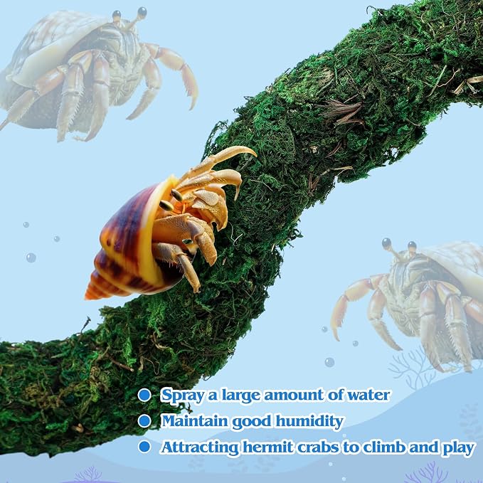 14 Pcs Hermit Crab Accessories Natural Hermit Crab Habitat Toy Artificial Moss and Plants Suction Cups for Lizard Chameleon Leopard Gecko Reptile Amphibians Tank Decoration (Rainforest Style)