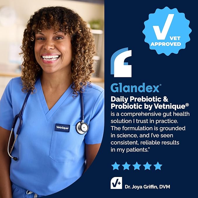 Vetnique Glandex Dog Probiotic Chews, Daily Probiotics for Dogs 5 Strains, Prebiotics & Digestive Enzymes for Gut & Immune Health, Vet Formulated for Occasional Diarrhea (120ct Chews, Proboitic Chews)