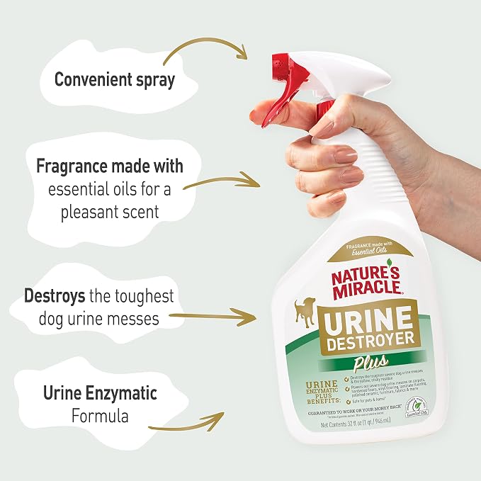 Nature's Miracle Urine Destroyer Plus for Dogs, Enzymatic Formula for Severe Stains, 32 oz