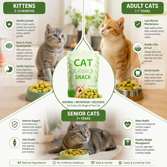 Cats Toy Kitten Grass Treats 135g/4.76oz Freeze Dried 2 in 1 Fish Oil Cat Chew Stick Pellet for Hairball Removal Kitty Catnip Snack Chicken Flavor for Cleaning Teeth & Dental Care Food Indoor