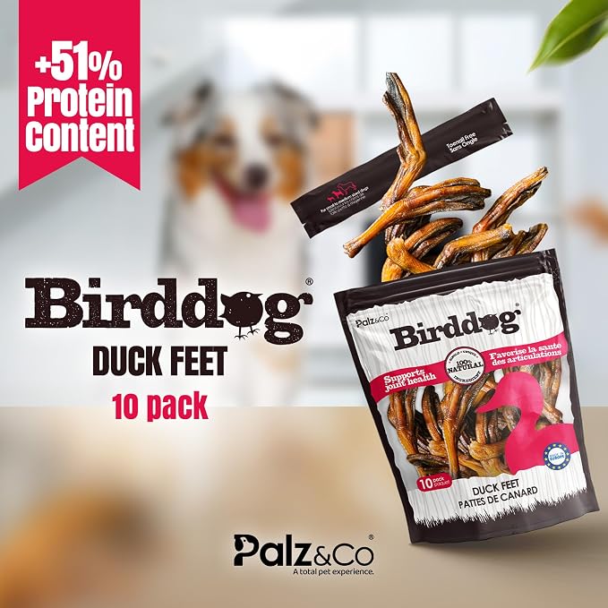 Palz&Co Duck Feet for Dogs - 10 Pack of 100% Natural Single Ingredient Dog Treats, Grain-Free, High Protein, Nail Free, Crunchy & Chewy Texture