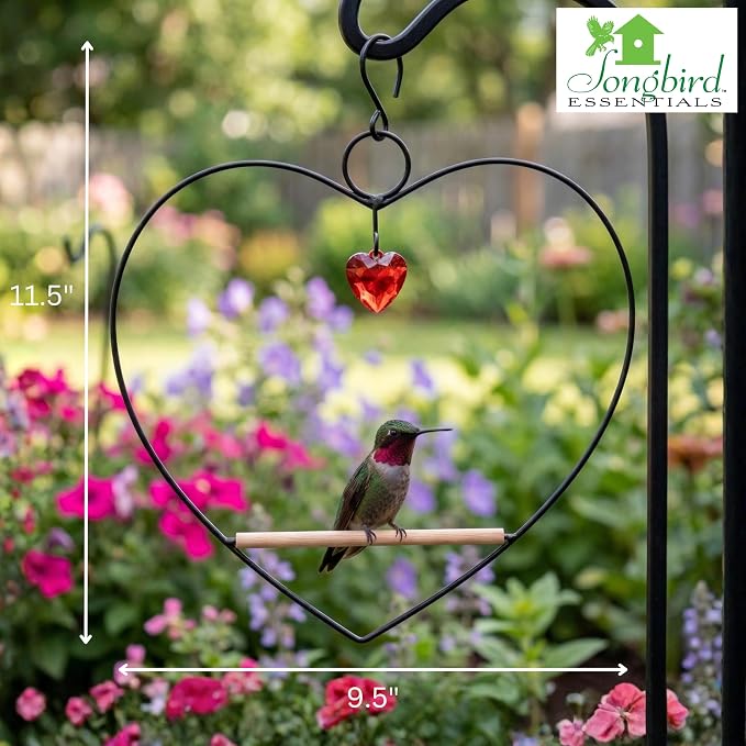 Songbird Essentials Hummingbird Swing - Tweet Heart Birdie Swing - Black Metal Hummingbird Perch