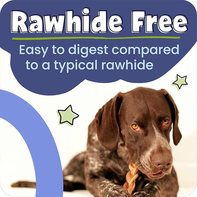 Pawstruck Natural 12" Braided Bully Sticks for Dogs – Tough, Long-Lasting, Rawhide-Free, Low-Odor, Single Ingredient Chew Treat for Aggressive Chewers – 5 Count – Packaging May Vary