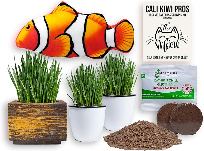 Cat Grass for Indoor Cats – Organic Grass Kit with Interactive Flippy Fish Toy (Black Gold)