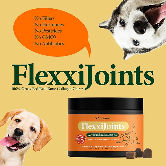 NZorganix FlexxiJoints 100% New Zealand Green-Lipped Mussel Powder, Hip & Joint Support Formula for Dogs & Cats, with Glucosamine, Chondroitin 200g (600 Servings)