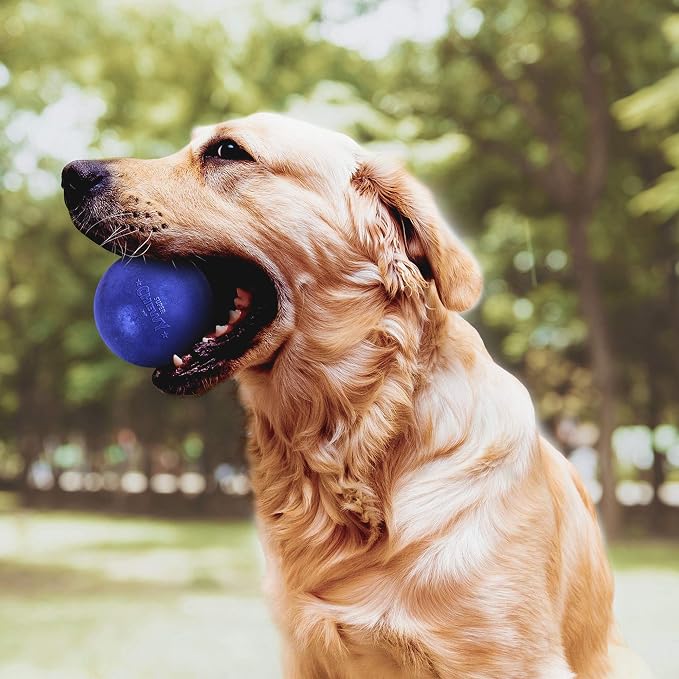 Tuff Pupper SuperChewy Durable Rubber Dog Ball and Rubber Durable Ring Dog Toy Bundle