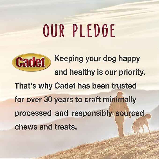 Cadet Bully Sticks for Extra-Small Dogs, All-Natural Beef Pizzle, Rawhide-Free Long-Lasting Dog Chews for Aggressive Chewers, 8 oz