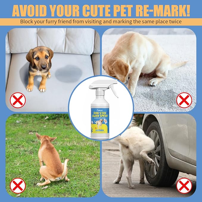16 Oz Encourages Dog Good Potty Behavior - Pet-Friendly Training Spray for Dogs – Indoor Potty Training Spray for Dogs – Reduces Dog Wrong Marking