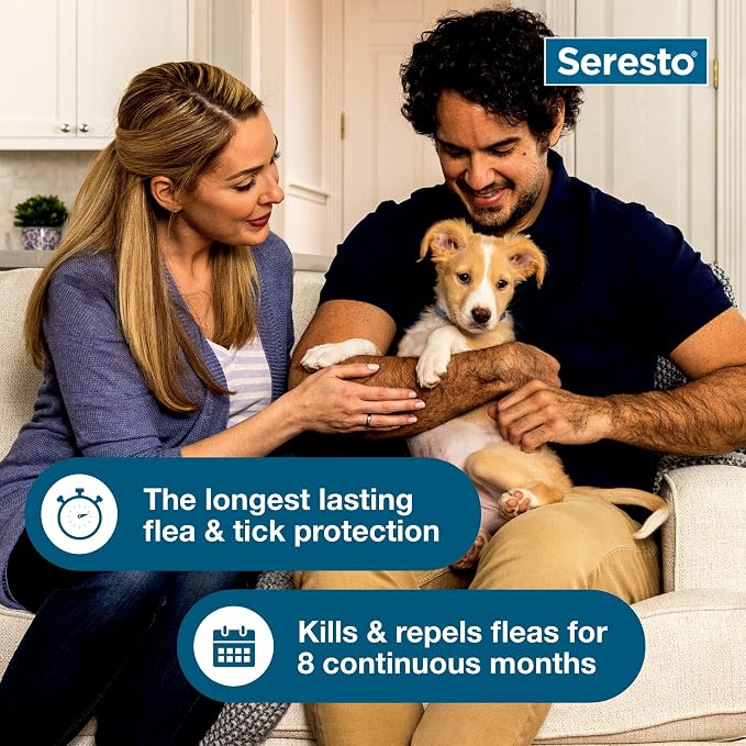 Bundle of Seresto Small Dog Under 18 lbs. + Pet Protect Calming Fast-Acting Soft Chews for Dogs, 60 Count