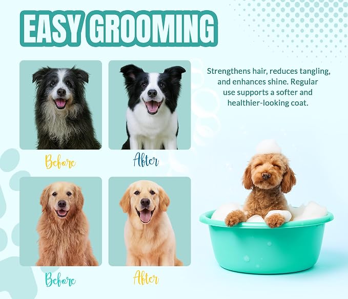 ALFIE'S CHOICE Dog Shampoo for Dry Itchy Skin | Calm & Comfort Shampoo and Conditioner Set | 16 fl oz Each | Lavender, Rosemary & Vitamin E | for Sensitive Skin & All Breeds