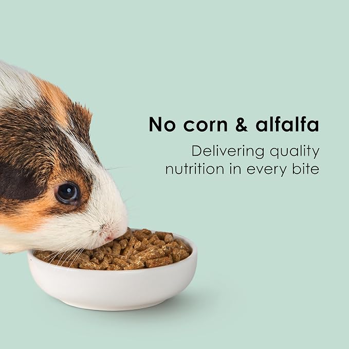 Kaytee Timothy Complete Guinea Pig Food, Made with Timothy Hay, High in Fiber, Supports Dental Health and Digestion, Long-lasting Vitamin C, 5 pounds