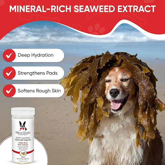 Warren London Deep Cleaning Paw Soak for Dogs – 75 Count Fizz Balls | Made with Tea Tree Oil, Aloe & Seaweed | Stops Licking & Promotes Healthy Pads | 5-Minute at-Home Spa Treatment