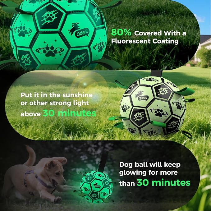 QDAN Glow in the Dark Dog Ball, Light Up Dog Toys, Luminous Glow Soccer Ball for Dogs, Outdoor Dog Toys, Doggy Water Toy, Puppy Birthday Gifts for Small Medium (6 Inch)