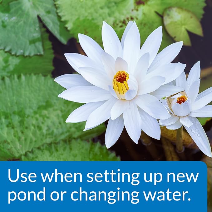 API POND CHLORINE & HEAVY METAL NEUTRALIZER Pond Water Neutralizer 16-Ounce Bottle