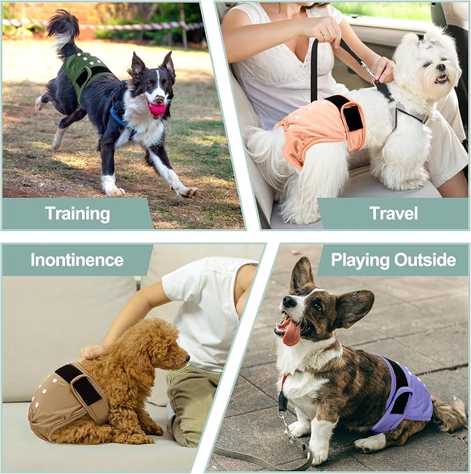 Female Dog Diapers 5Pcs - Premium Reusable Diapers for Doggie in Heat - Highly Absorbent Dog Diapers Female for Pet Incontinence with Adjustable Snaps,L
