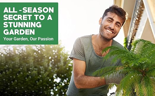 Gardenwise 8-4-8 Professional Palm Tree Fertilizer Plant Food; for Indoor Potted Plants and Outdoor Landscape Palm Trees; Quick-Release Nitrogen Fertilizer and Continuous Feeding (5 QUARTS)