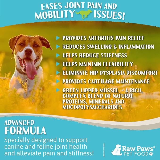 Raw Paws Green Lipped Mussel Hip and Joint Supplement for Dogs & Cats, 10-oz Powder - Green Lipped Mussels for Dogs - Natural Chondroitin Glucosamine for Dog & Cats - Dog Joint Pain Relief