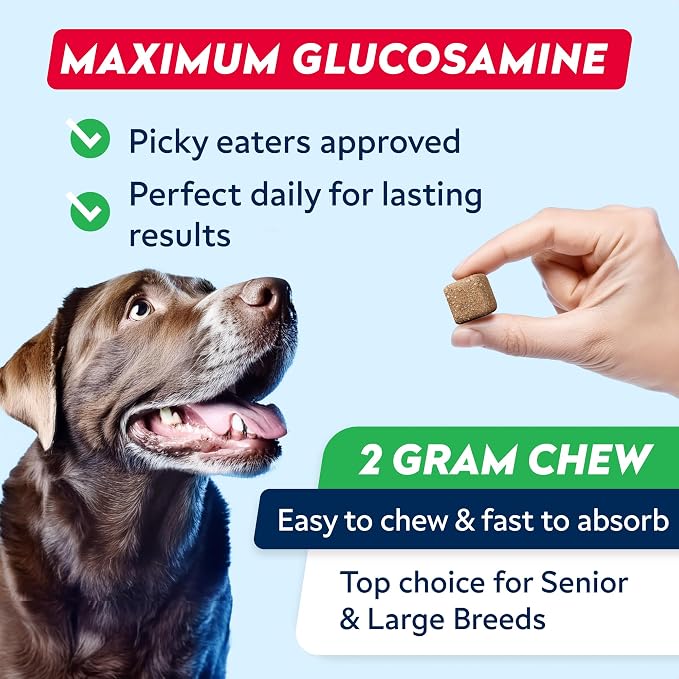 STRELLALAB Advanced Glucosamine Hip & Joint Supplement for Senior Dogs - Green Lipped Mussel & Collagen - Hip & Joint Pain Relief - Large & Small Breed - Joint Health - 180 Chews
