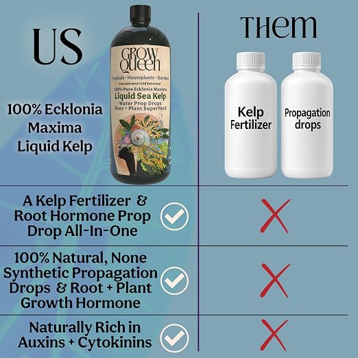 Organic Liquid Kelp & Seaweed Extract Prop Drop (Ecklonia Maxima) – Root + Plant Growth Hormone & Root Plant Food for Water Propagation, Hydroponics & Soil – 12oz 85 Gallons
