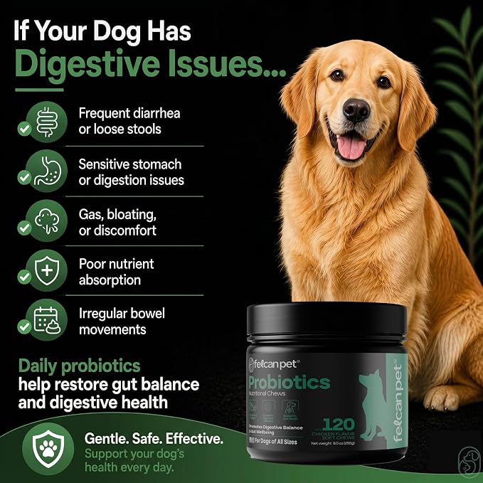 Probiotics For Dogs Soft Chews With Pumpkin, Papaya & Prebiotic Inulin – Dog Probiotic With 6-Strain Blend – Supports Dog Digestive Balance – Gut Health For Dogs – Chicken Flavor, 120 Chews