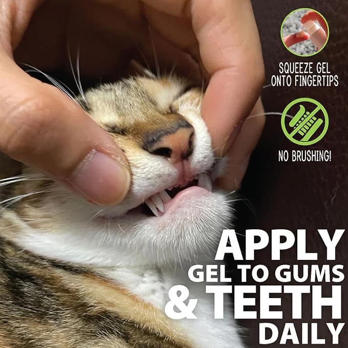 Adore Pet Complete Oral Care Gel for Cats, Salmon, 4 oz