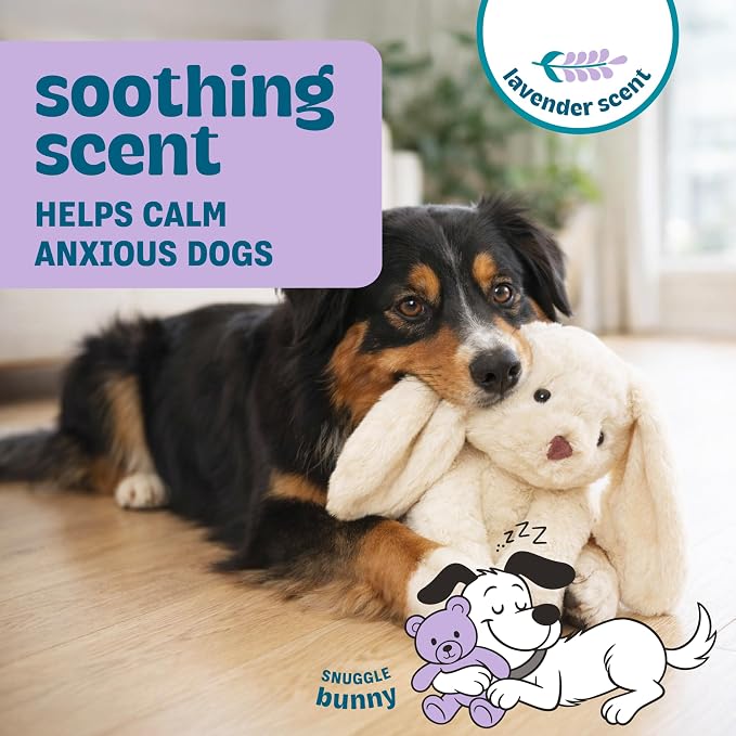 Calming Plush Dog Toy with Squeaker, Ultra-Soft Floppy Cuddle Companion, Lavender Scented, Bunny, Large, 11.8”
