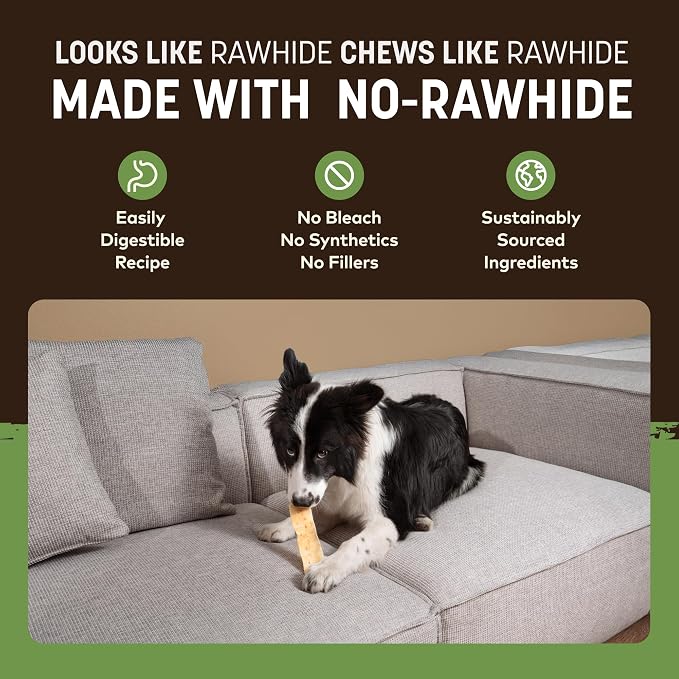 Earth Animal No Hide Strips - Natural Rawhide Free Dog Chew Strips, Pork - 10 Count Value Pack