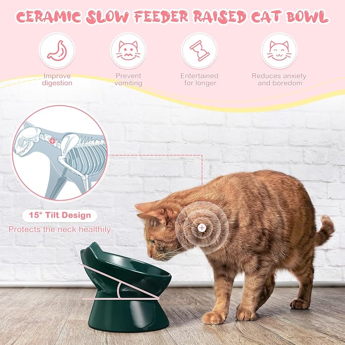 Funnymoom 2 Pcs Ceramic Raised Slow Feeder Cat Bowl, 5.91inch Elevated Cat Slow Feeder Bowl Tilted Anti Vomiting for Dry Wet Food and Water Easy to Clean High Edge(Dark Green, Pink)