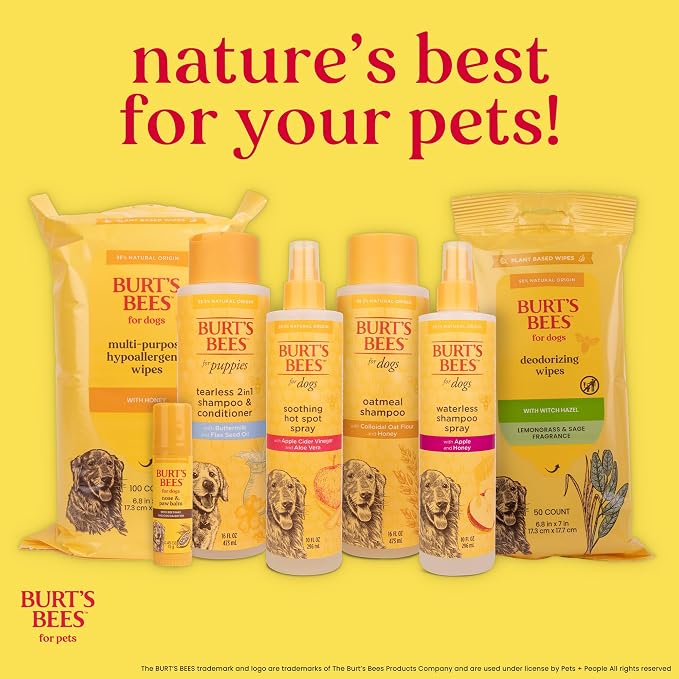 Burt's Bees for Pets Oatmeal Dog Shampoo with Honey, Soothing Formula for Itchy and Sensitive Dog Skin, Colloidal Oat Flour and Honey, pH Balanced, Sulfate-Free, 16 Fl Oz - 6 Pack