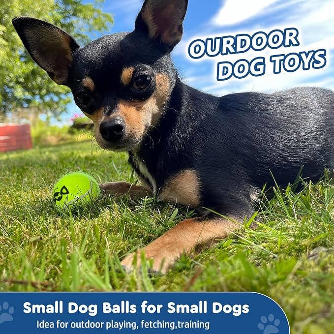 INSUM 20 Pack Small Tennis Balls for Dogs - 2 Inch Squeaky Dog Balls Toys with Mesh Bag, SGS Certified, Durable Non-Toxic, Built in Squeaker, Small Breeds