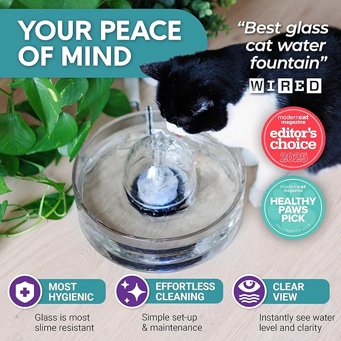 Brook Glass Pet Fountain (90oz/2.7L) – Cat & Dog Water Fountain – Glass Cat Fountain & Automatic Water Dispenser for Drinking