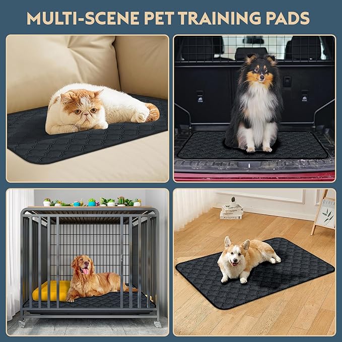 FunFurry Washable Pee Pads for Dogs - 2 Pack Reusable Pee Pads，Waterproof Puppy Pads，Pet Training Pads，Super Absorbent with Dog Paw Shape Non-Slip Backing (Dark Grey, 18" X 24" - 2 Pack)
