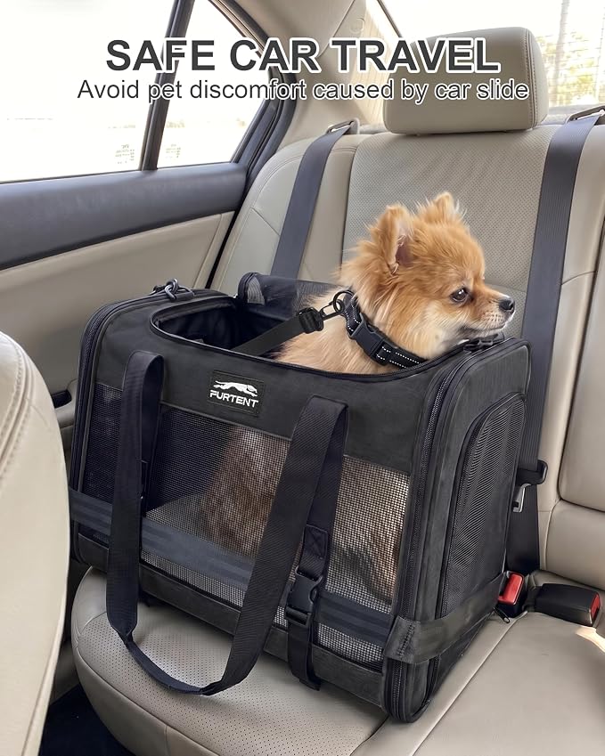 Soft-Sided Large Cat Carrier for 2 Cats, Spacious Foldable Pet Travel Carrier for Large Cats up to 25 Lbs, Double Cat Bag with Shoulder Strap, 20x13x13 Inch, Fits Maine Coon and Small Dogs, Black