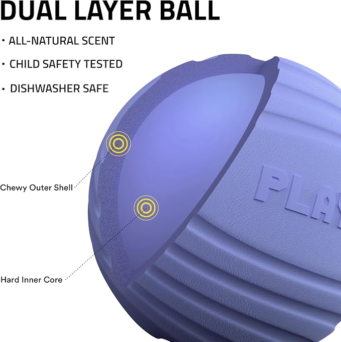Playology Dog Toys | Dual Layer Ball Durable Chew Toy for Tough Chewers | Blueberry Scented Medium Dog Toy | Chew Toys for Dogs