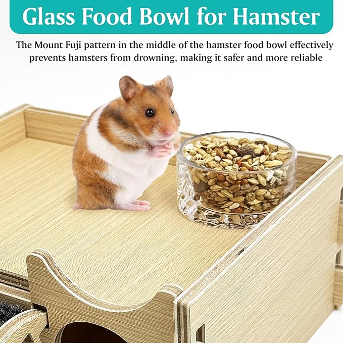 BNOSDM Rabbit Grinding Claw Pads Natural Hamster Lava Stone and Transparent Hamster Food and Water Bowl Mountain Fuji Style Glass for Hamsters Gerbils Mice Rats or Other Similar-Sized Pets