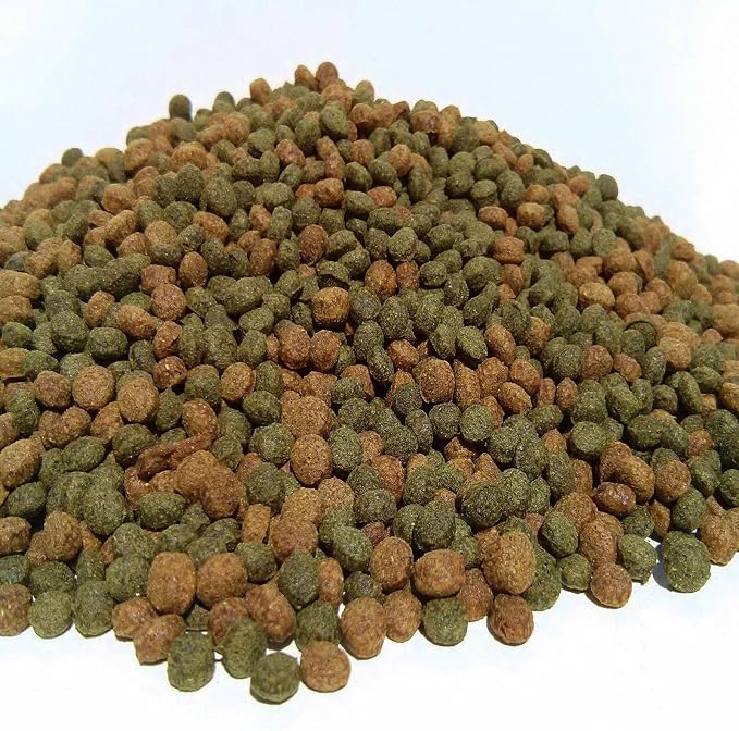 4mm - 3/16" Koi Floating Intense Growth & Color Enhancing Anchovy Meal Pellets for Koi Fish, All Pond Fish, All Medium & Large Aquarium Tropical Fish - 10-lbs