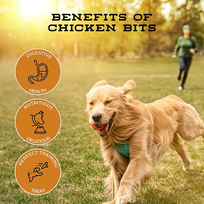 Chicken Bits Grain Free Natural Dog Treats for Small to Large Breed - Low Calorie for Training - High Value, Human Grade Meat, Healthy Dog Treats for Medium & Large Dogs (8oz)