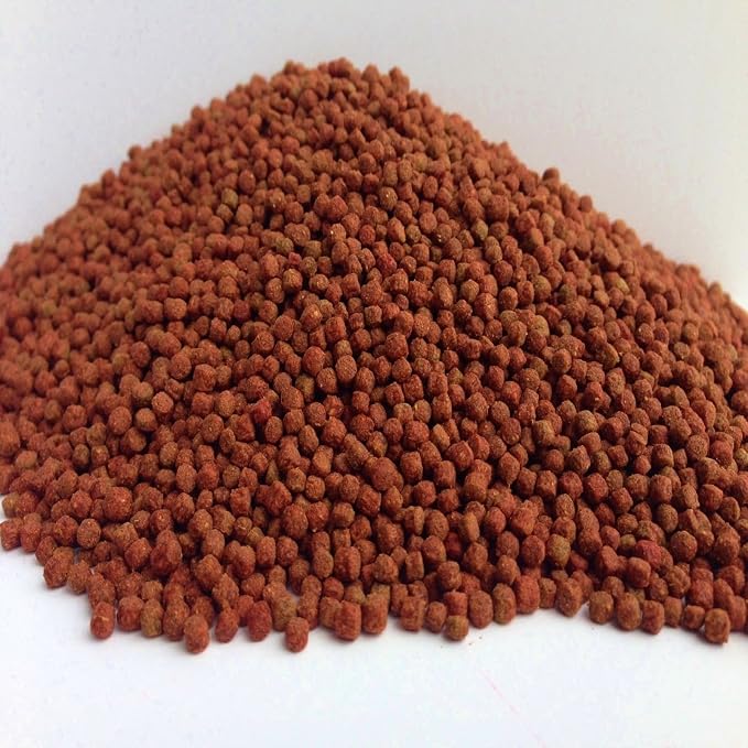 3mm - 1/8" Color Enhancing Floating Pellets for Cichlids, All Tropical Fish All Koi & Pond Fish, for All Community Tropical Fish - 8-lbs